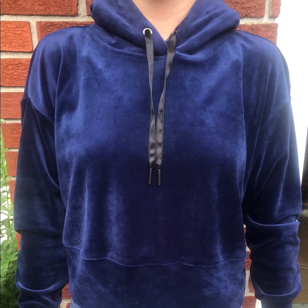 Blue velvet cropped sweatshirt